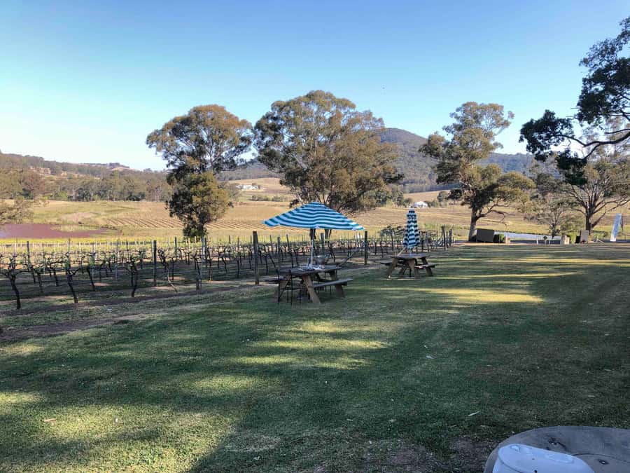 From Haymarket: Hunter Valley Wine and Wildlife Day Trip - Is this Hunter Valley day trip worth booking?