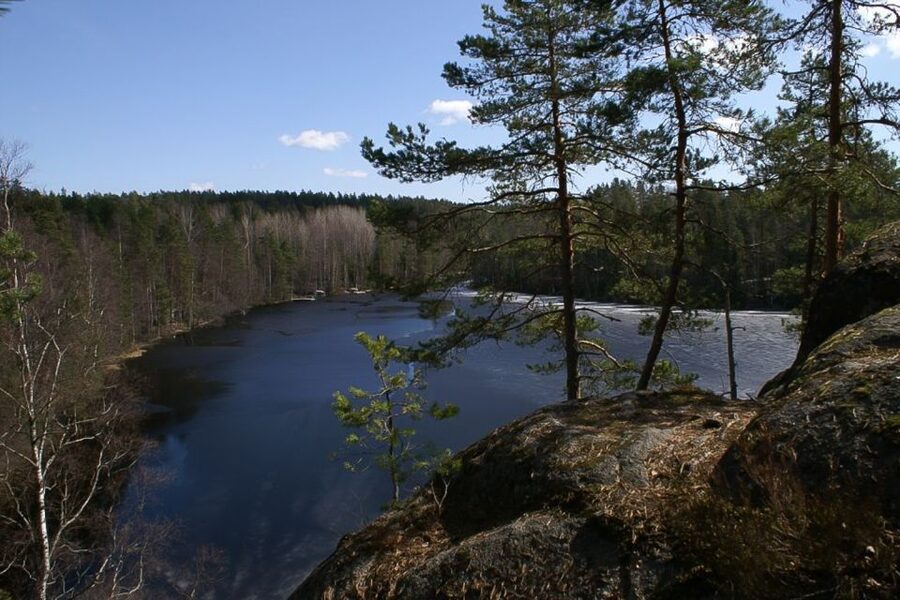 From Helsinki: Nuuksio National Park Half-Day Trip - Entering the spruce forest and rocky ground