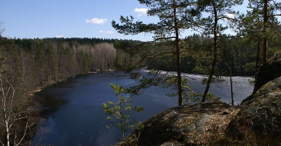 From Helsinki: Nuuksio National Park Half-Day Trip - Meeting near Helsinki Central Station