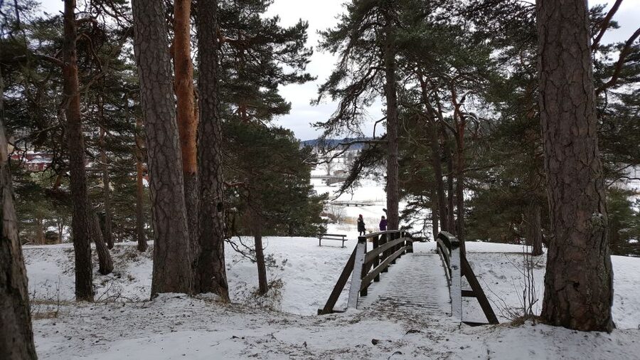 From Helsinki: Porvoo Guided Day Trip with Transportation - Coffee, cake, and time in the shops