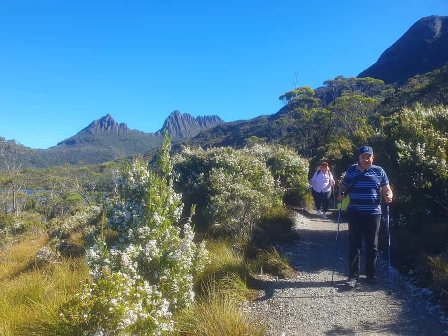 From Hobart: Active Day Trip to Cradle Mountain - Who will get the most from this experience?