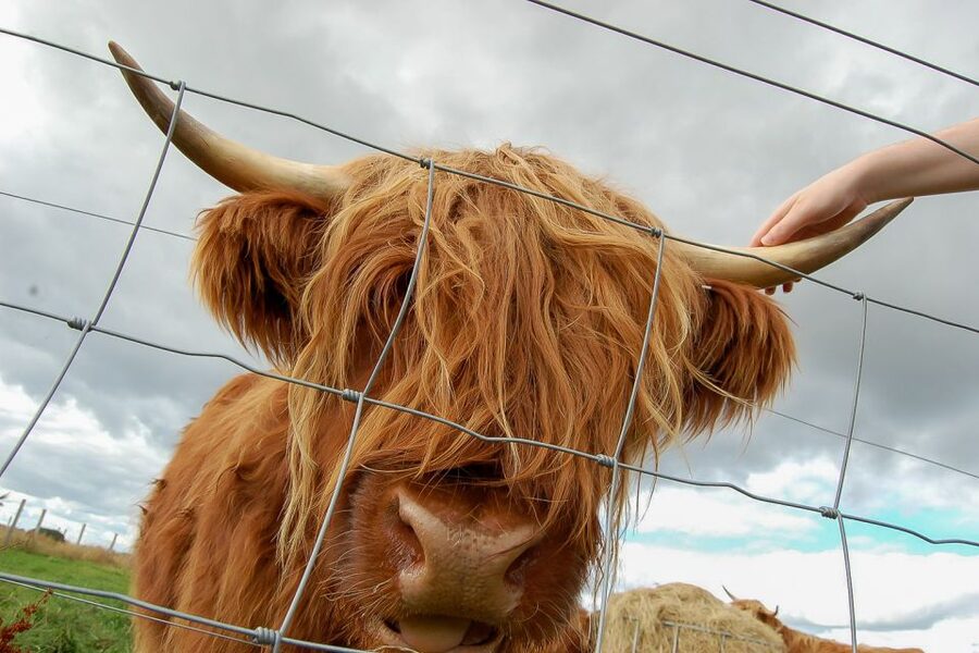 From Inverness: Isle of Skye and Fairy Pools Day Trip - Crossing the Skye Bridge to Kyleakin