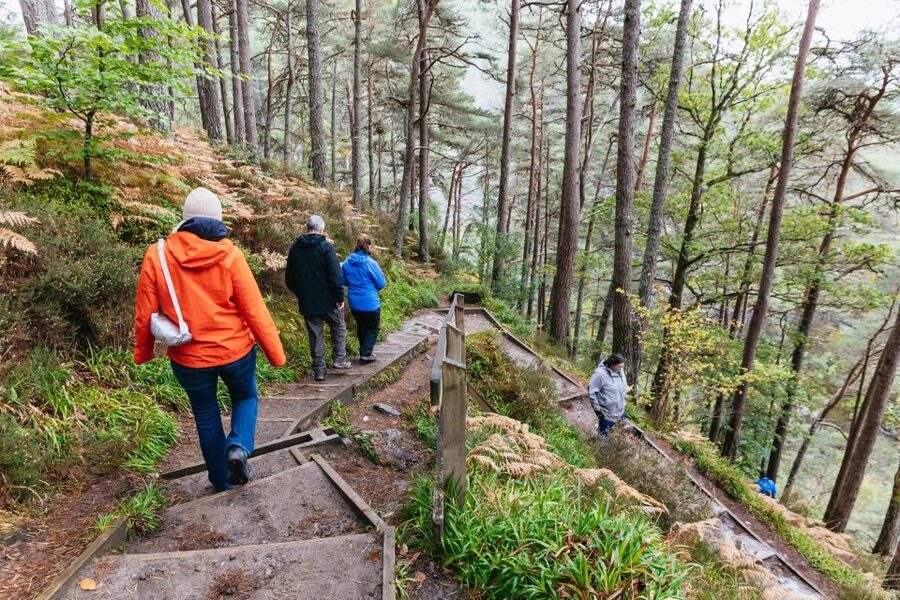 From Inverness: Loch Ness Guided Day Trip - Why this is a strong Loch Ness introduction