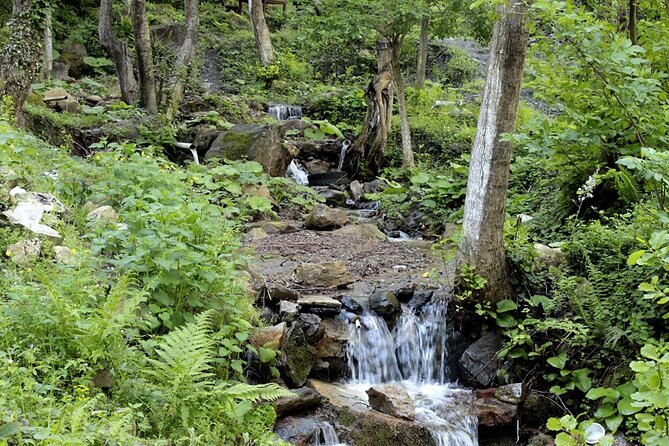 From Istanbul: Sapanca and Masukiye Day Trip with Lunch - Mahmudiye Village and the activity zone