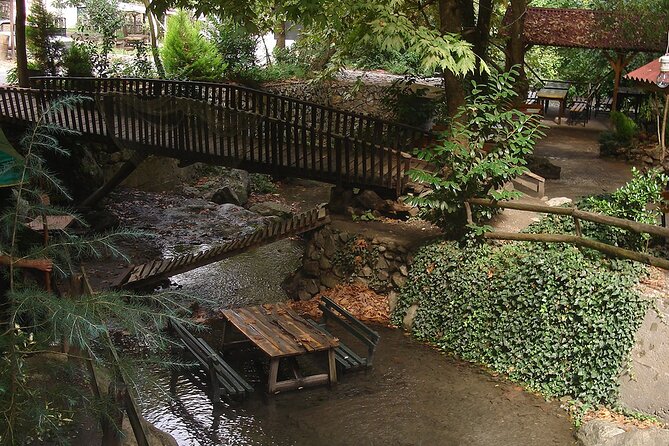 From Istanbul: Sapanca and Masukiye Day Trip with Lunch - Lunch near the water or waterfall