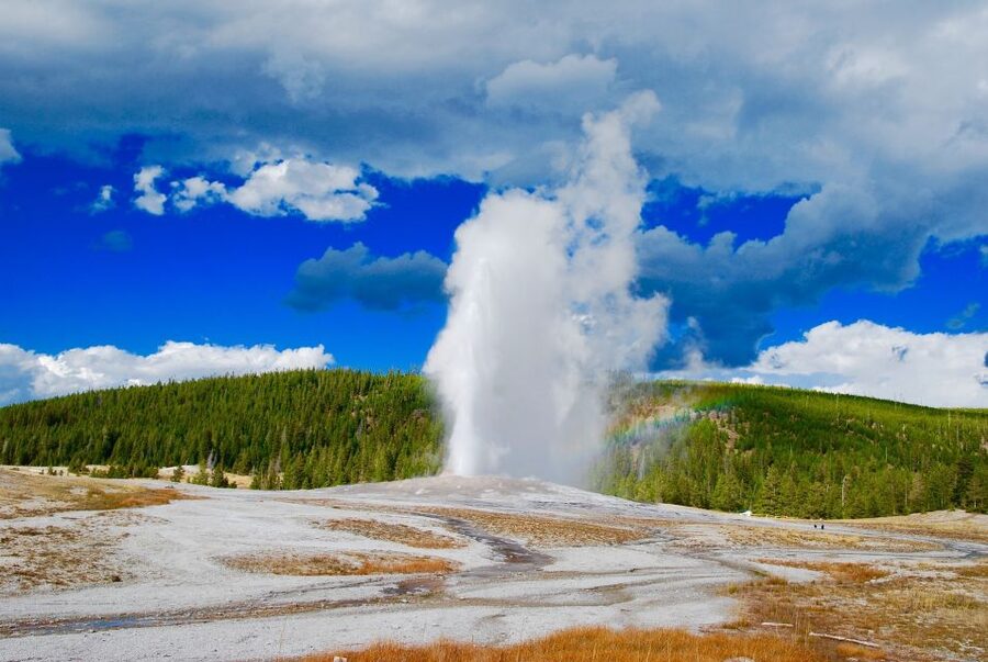 From Jackson: Yellowstone National Park Day Trip with Lunch - Key points to know before booking