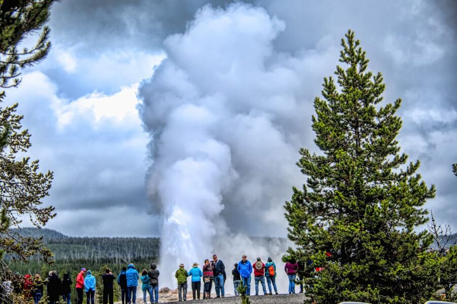 From Jackson: Yellowstone National Park Day Trip with Lunch - Is $325 a fair price?