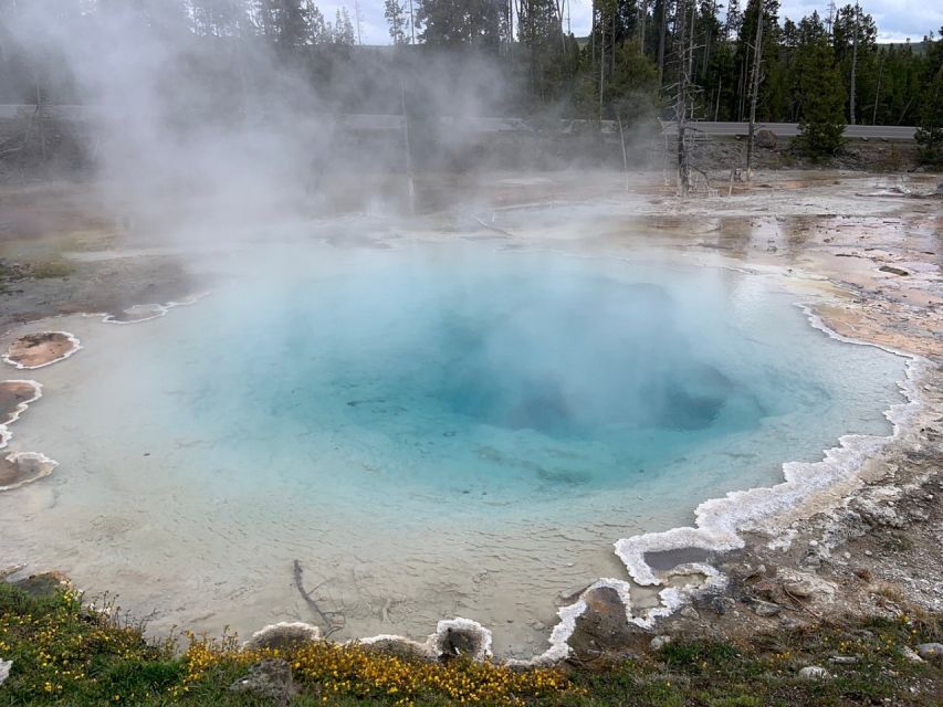 From Jackson: Yellowstone National Park Day Trip with Lunch - Why this Jackson day trip makes sense