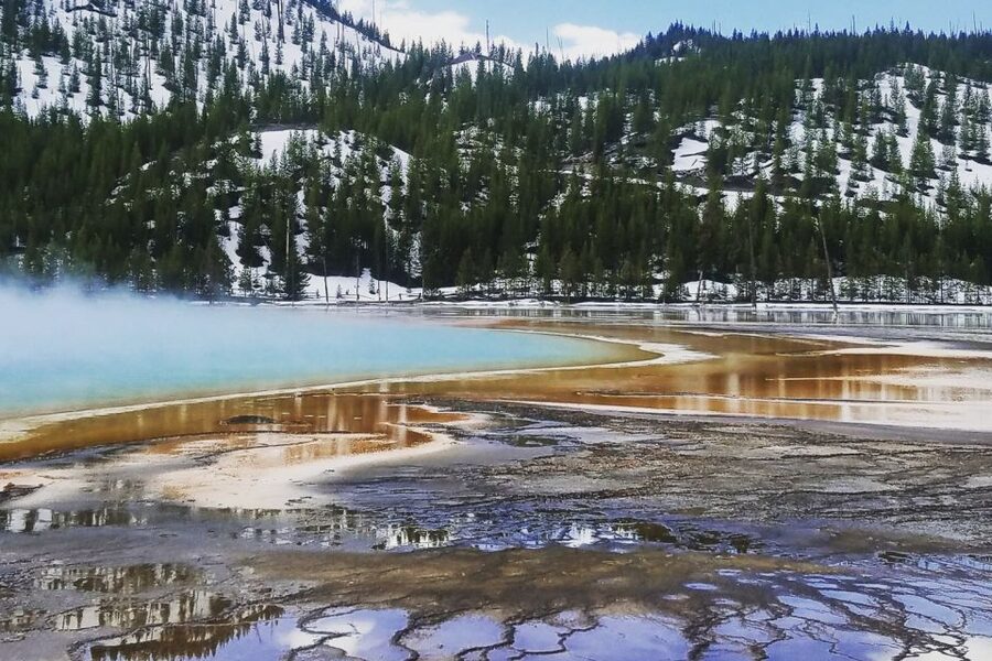 From Jackson: Yellowstone National Park Day Trip with Lunch - Midway Geyser Basin, Firehole Lake, and Fountain Paint Pots