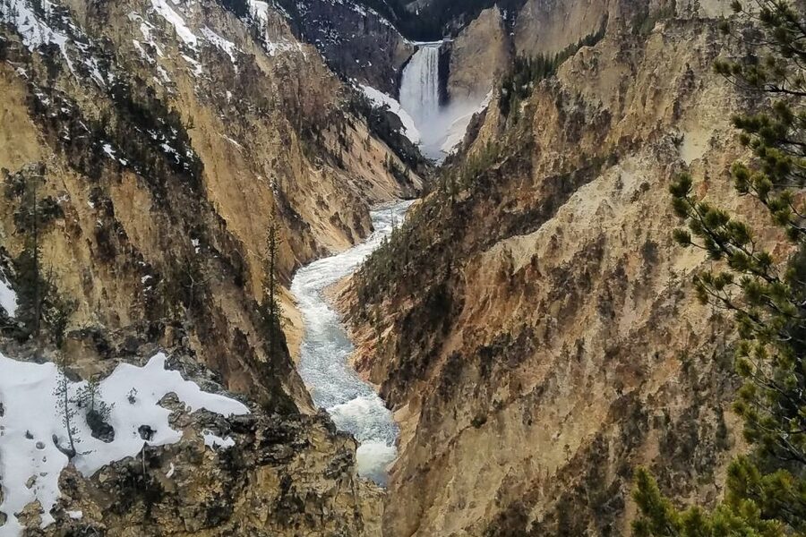 From Jackson: Yellowstone National Park Day Trip with Lunch - Firehole River Canyon, Gibbon Falls, and Virginia Cascades