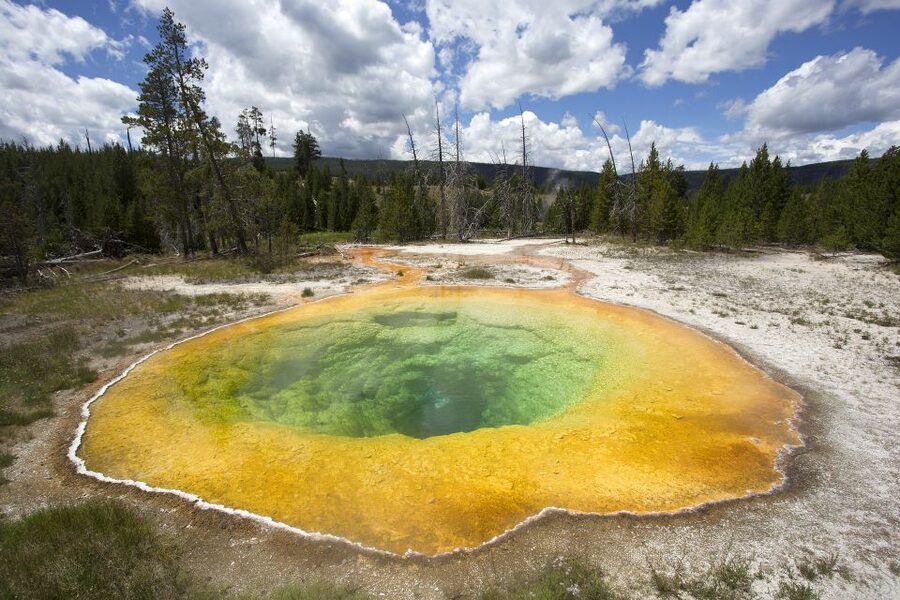From Jackson: Yellowstone National Park Day Trip with Lunch - What the van ride and long day are really like