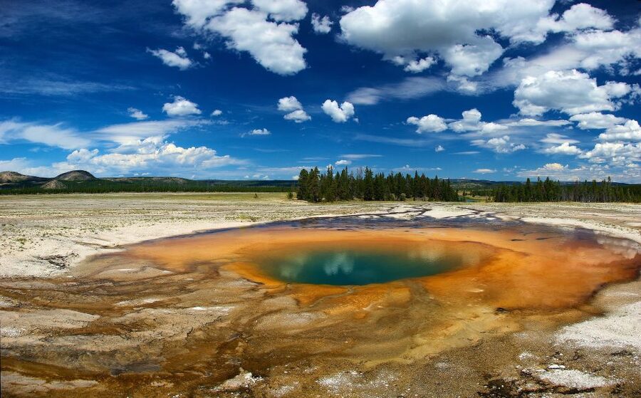 From Jackson: Yellowstone National Park Day Trip with Lunch - Crossing Grand Teton before Yellowstone