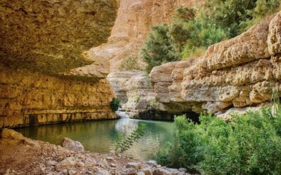 From Jerusalem: Masada Sunrise, Ein Gedi & Dead Sea Day Trip