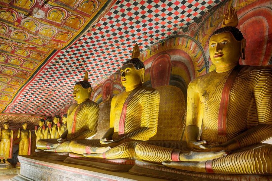 From Kandy: Sigiriya and Dambulla Day Trip - Should you book it?