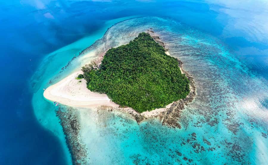 From Khao Lak: Bamboo & Phi Phi Islands, & Maya Bay Day Trip - Key points to know before booking