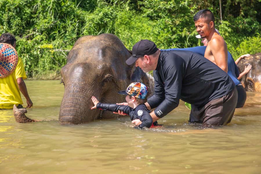 From Khao Lak: Day Trip to Khao Sok with Elephant Camp Visit - Five things to know before you go