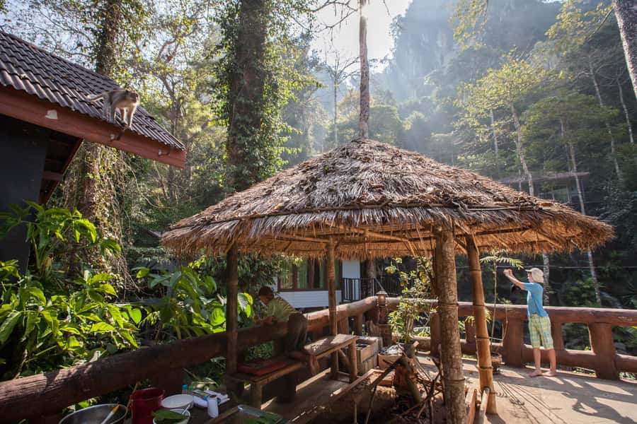 From Khao Lak: Day Trip to Khao Sok with Elephant Camp Visit - Leaving Khao Lak for Khao Sok