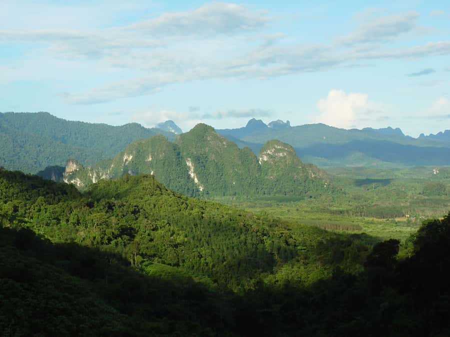 From Khao Lak: Day Trip to Khao Sok with Elephant Camp Visit - Optional market, viewpoint, and monkey temple stops