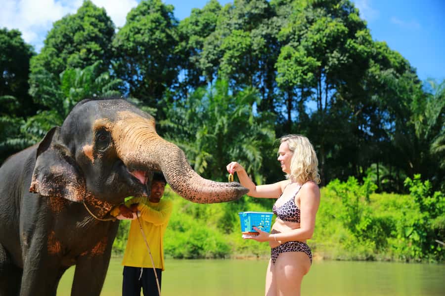 From Khao Lak: Day Trip to Khao Sok with Elephant Camp Visit - Is $99 a fair price?