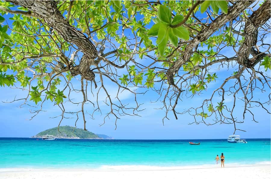 From Khao Lak: Similan Islands Day Trip with Snorkeling - Lunch and free time on Koh Miang