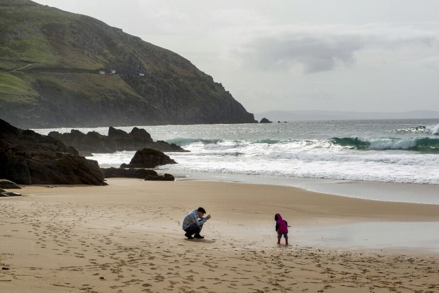 From Killarney: Day Trip to Dingle - Key Points to Know Before You Go