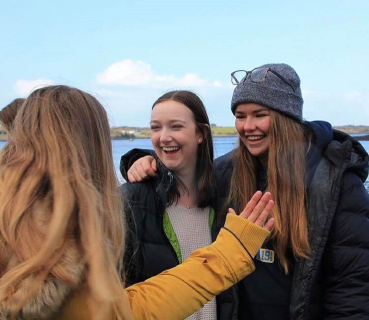 From Killarney: Day Trip to Dingle - Ancient Beehive Huts and the Blasket Island View