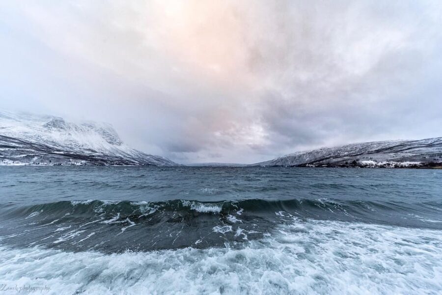 From Kiruna: Narvik City and Fjord Day Trip - Lunch and free time in Narvik