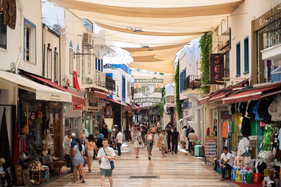 From Kos: Bodrum Day Trip by Ferry with Transfer - What the $64 price really covers