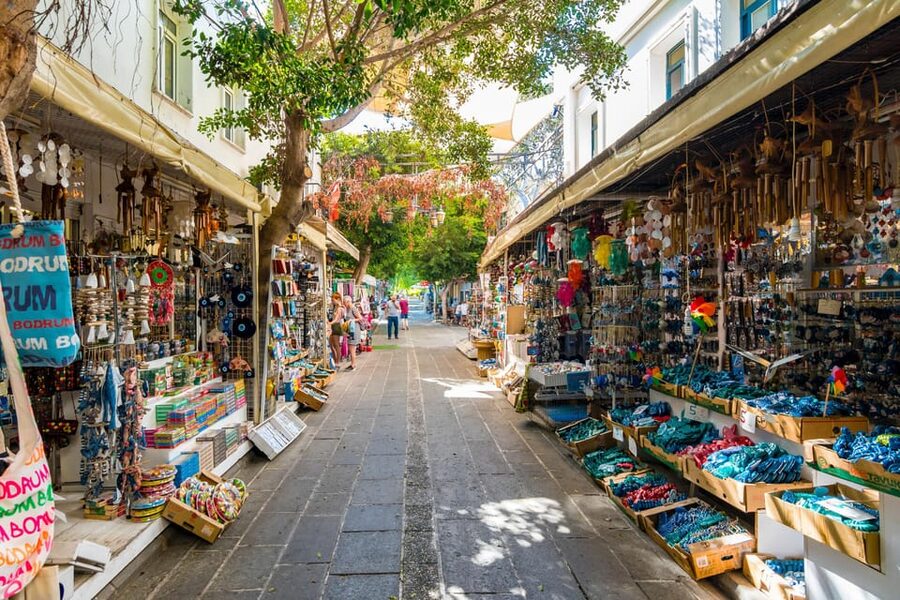 From Kos: Independent Day Trip to Bodrum - Who Will Enjoy This Day Trip Most?
