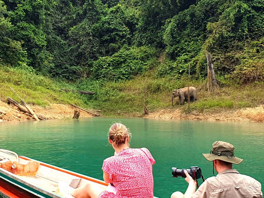 From Krabi: Cheow Lan Lake Day Trip with Lunch at Rafthouse - Key points to know before booking