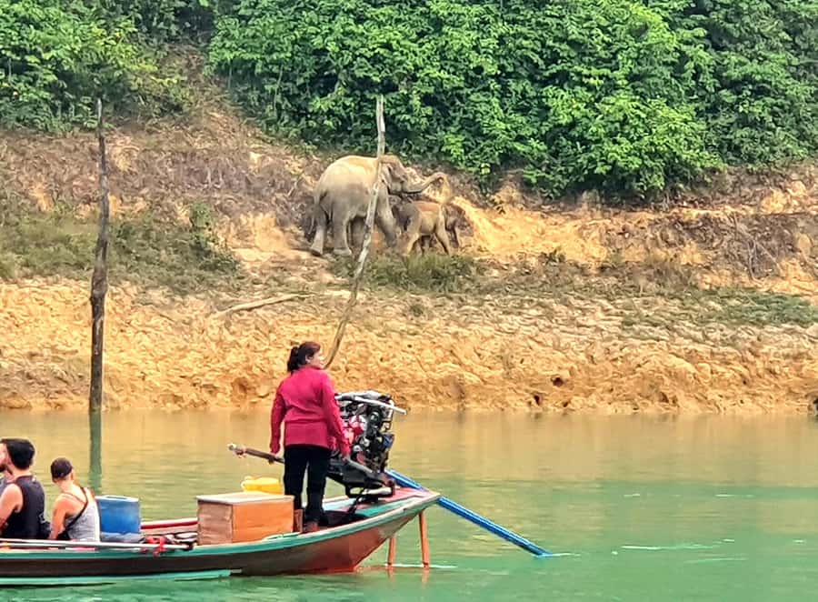 From Krabi: Cheow Lan Lake Day Trip with Lunch at Rafthouse - Thai lunch with a view across the water