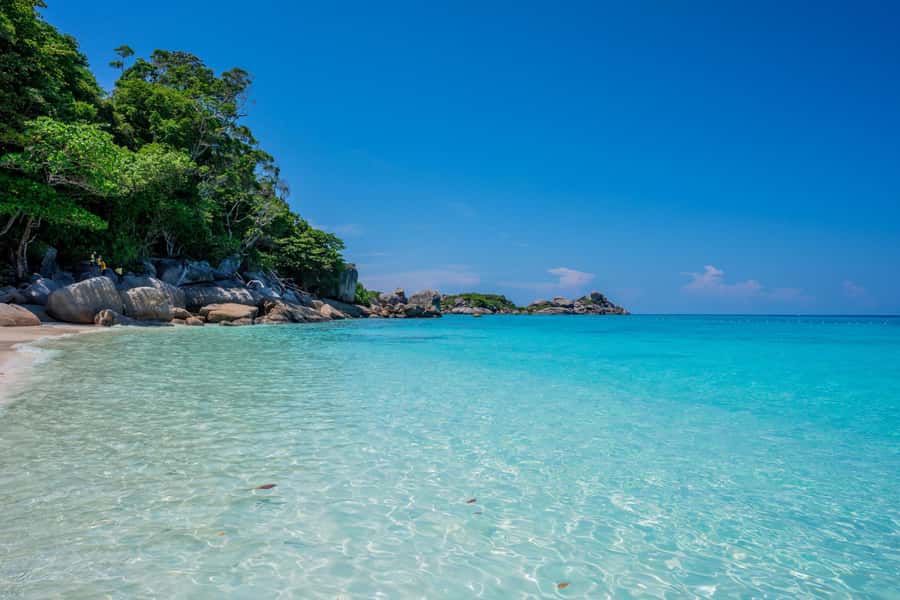 From Krabi: Similan Islands Day Trip by Speedboat - Meals, gear, and what the $104 covers