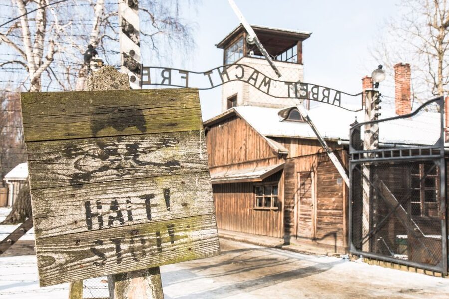 From Krakow: Auschwitz and Wieliczka Salt Mine Full-Day Trip - Why this Krakow day trip makes sense