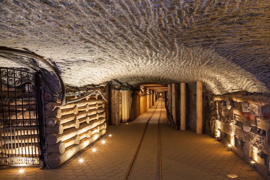 From Krakow: Auschwitz and Wieliczka Salt Mine Full-Day Trip - The break between the two attractions