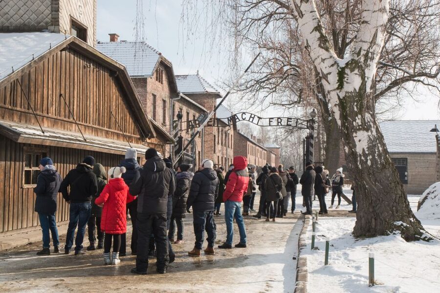 From Krakow: Auschwitz and Wieliczka Salt Mine Full-Day Trip - Wieliczka Salt Mine and its 800 steps