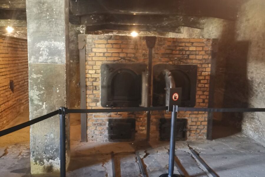 From Krakow: Auschwitz-Birkenau Camp Complex Guided Day Trip - Understanding Auschwitz through the guide’s explanation