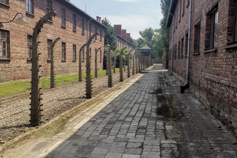 From Krakow: Auschwitz-Birkenau Camp Complex Guided Day Trip - The role of Monowitz and the wider camp system