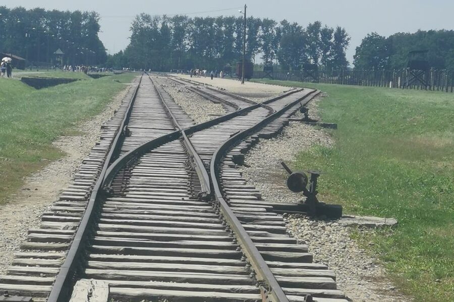From Krakow: Auschwitz-Birkenau Camp Complex Guided Day Trip - Timing, crowds, and the emotional pace