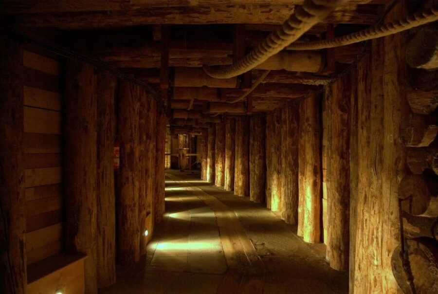 From Krakow: Wieliczka Salt Mine Half-Day Trip with Pickup - Who should book this trip?