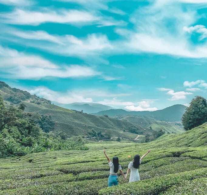 From Kuala Lumpur: Cameron Highlands Day Trip with Transfers - Why this Cameron Highlands trip works from Kuala Lumpur