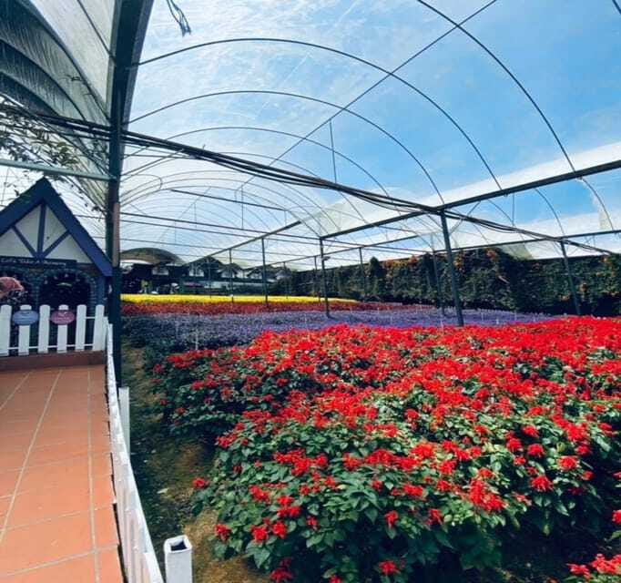 From Kuala Lumpur: Cameron Highlands Day Trip with Transfers - Lunch at the Boh centre and what the $118 price covers