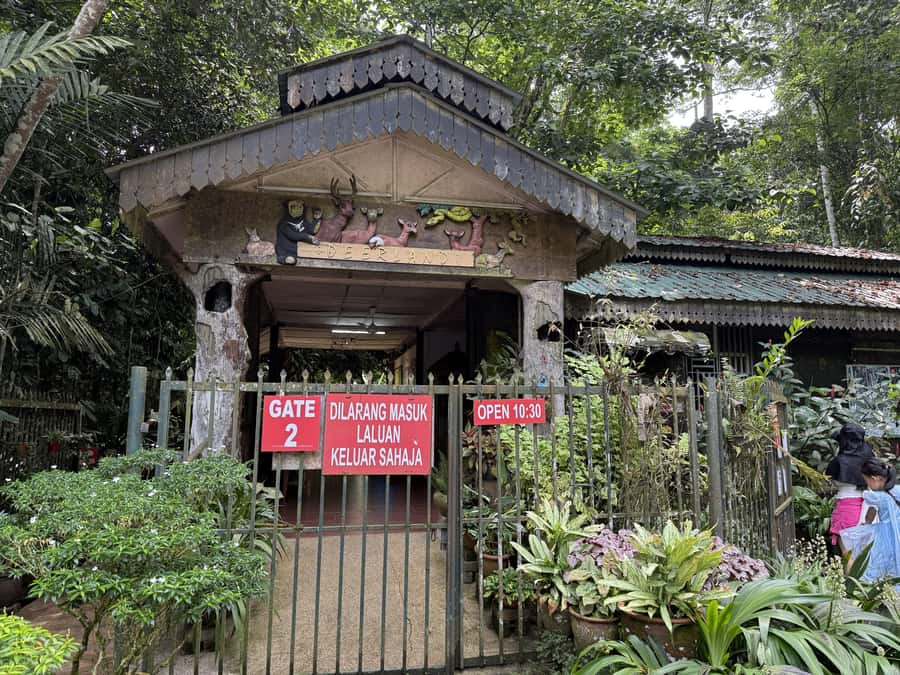 From Kuala Lumpur: Kuala Gandah Elephant Sanctuary Day Trip - How good is the value at $57?