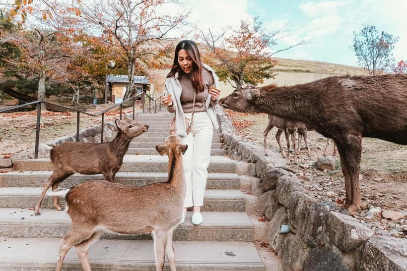 From Kyoto: Nara, Osaka & Kobe Day Trip – 3 Cities in 1 Day - Kobe closes the day with Chinatown and the sea