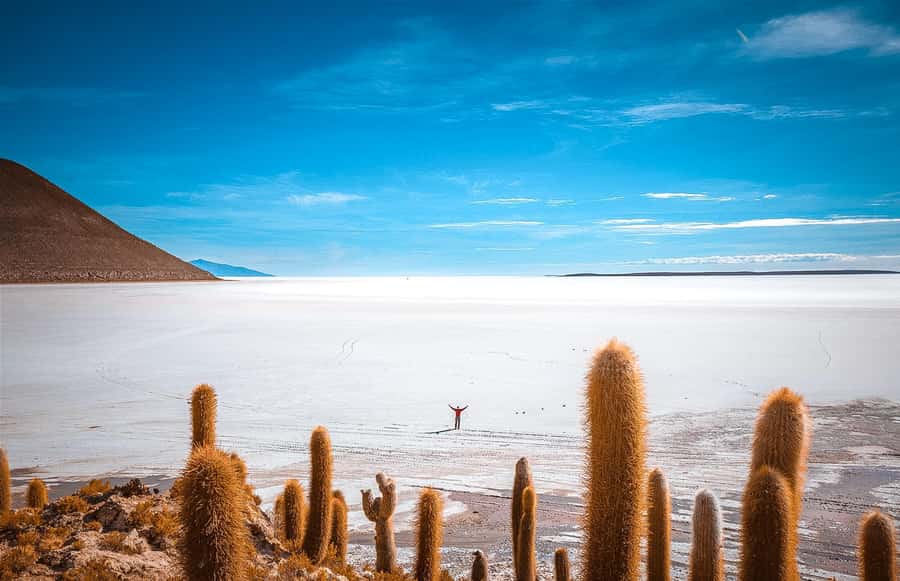 From La Paz: 4-Day Trip to San Pedro de Atacama w/Salt Flats - Day two: trains, salt production, and Incahuasi Island