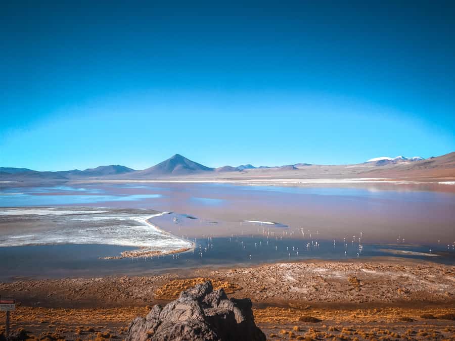 From La Paz: 4-Day Trip to San Pedro de Atacama w/Salt Flats - Day three: lagoons, flamingos, and the red water of Laguna Colorada