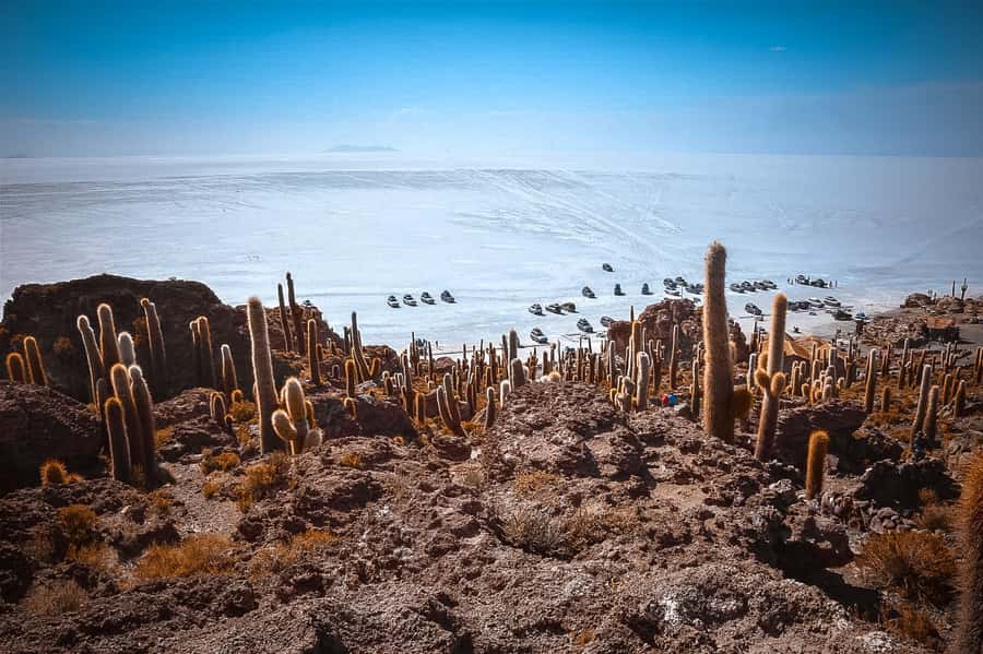 From La Paz: 4-Day Trip to San Pedro de Atacama w/Salt Flats - Day four: geysers, hot springs, and the Chilean border