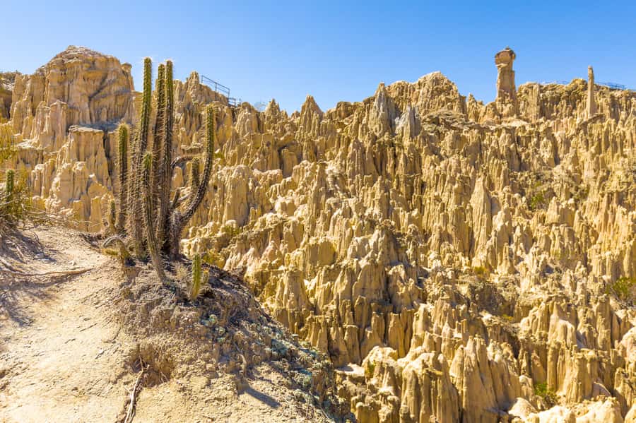 From La Paz: Day Trip to Chacaltaya and Moon Valley - The long road to Chacaltaya