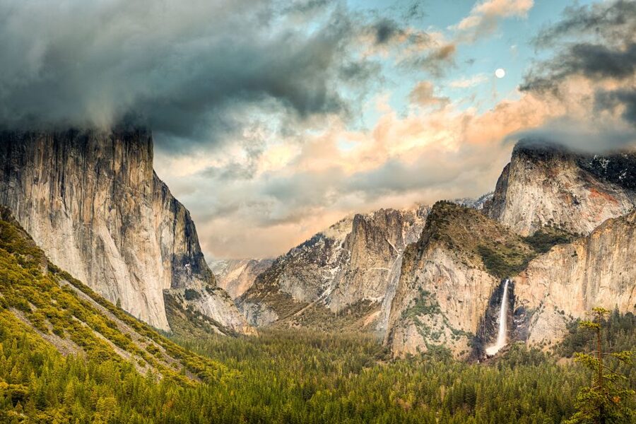 From Lake Tahoe: Yosemite National Park Day Trip with Lunch - What the $250 price includes