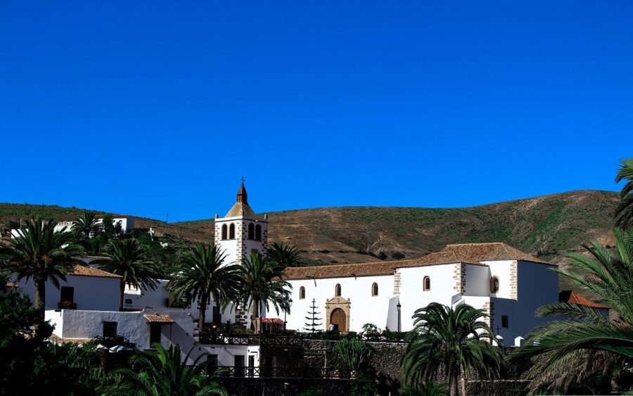 From Lanzarote: Fuerteventura Day Trip - Key points before you book
