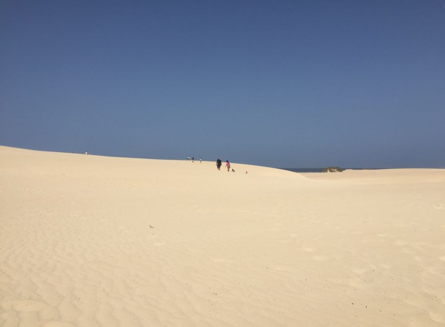 From Lanzarote: Fuerteventura Day Trip - From Playa Blanca to Corralejo by ferry